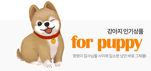 강아지 인기상품 for puppy