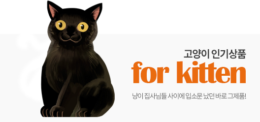 고양이 인기상품 for kitten